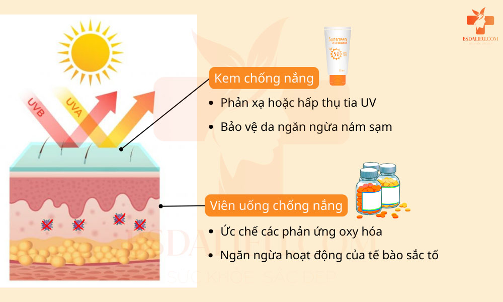 Kết hợp bôi kem và viên uống chống nắng sẽ ngăn ngừa tác động của tia UV lên da